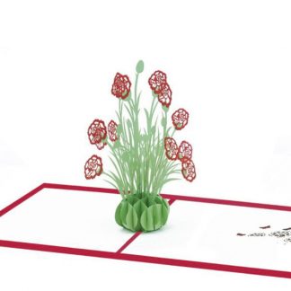 3D Pop Up Card, flower card - Carnation