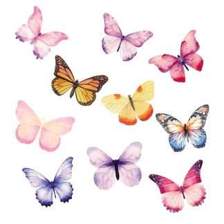 3D Realistic Butterfly Wall Stickers – Vibrant Decorative Wall Art Set